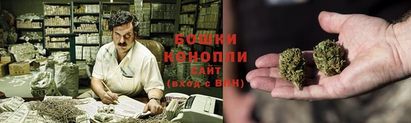трава Бородино