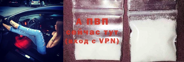 прущие грибы Бугульма