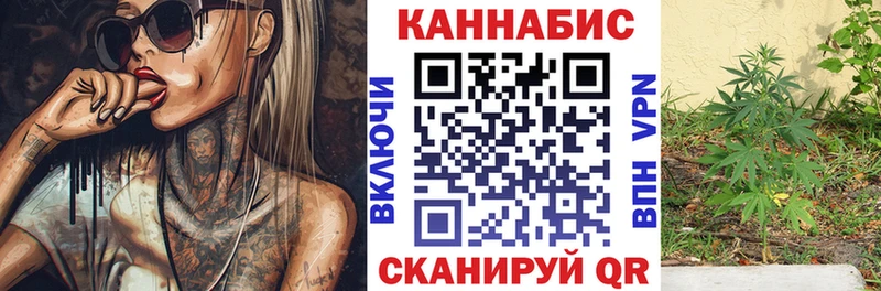 Бошки Шишки планчик  hydra онион  Йошкар-Ола 